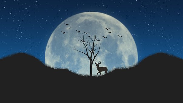 Free Deer Moon illustration and picture