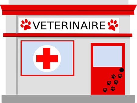 Veterinario, Animales, Médico