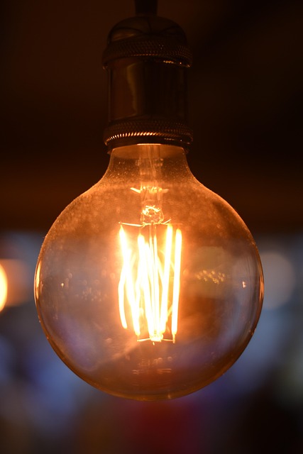 Free Light Lightbulb photo and picture