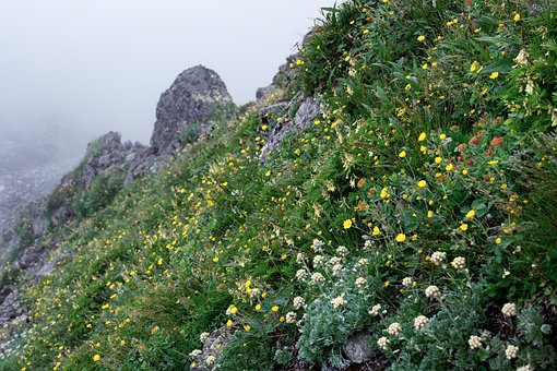 Free Landscape Alpine photo and picture