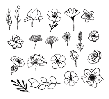 Free Hand Drawn Flowers illustration and picture