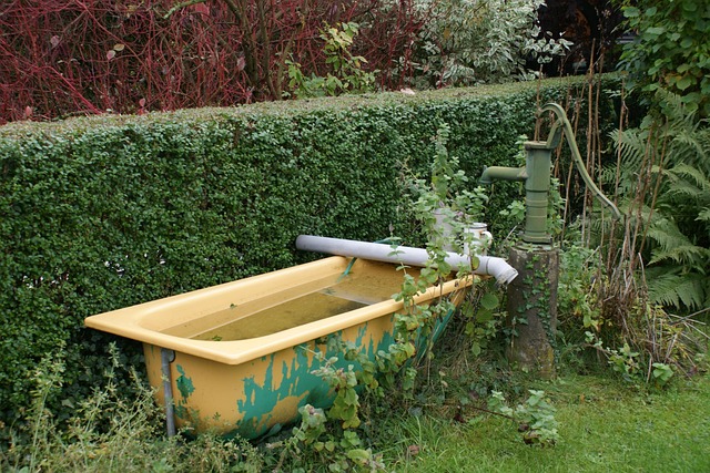 Free Bathtub Garden photo and picture
