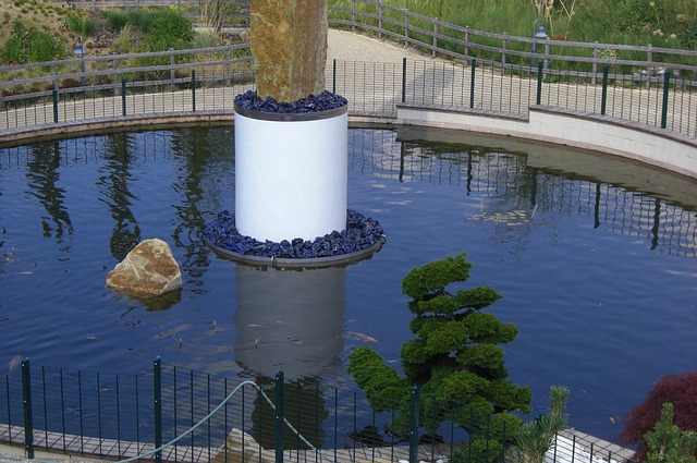 Free Pond Pool photo and picture