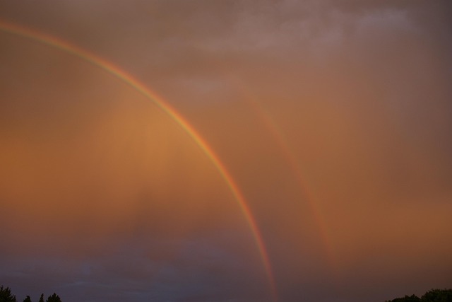 Free Rainbow Night photo and picture