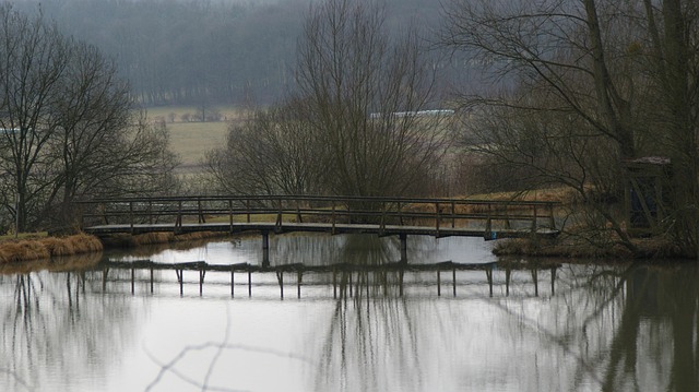 Free Bridge Lake photo and picture