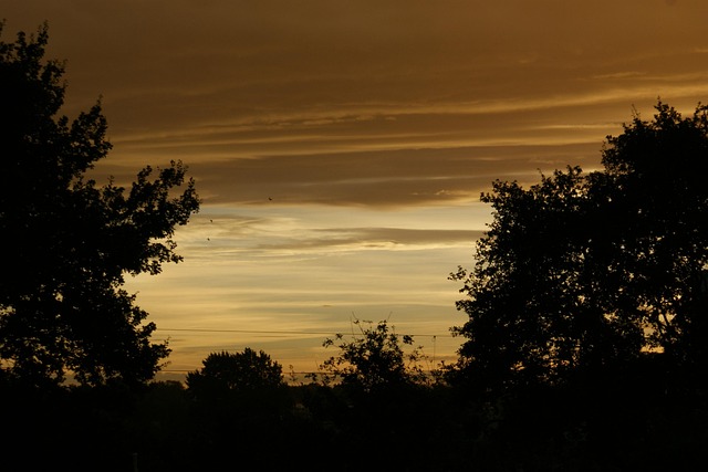Free Heaven Nature photo and picture