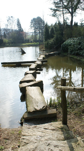 Free Pond Water photo and picture