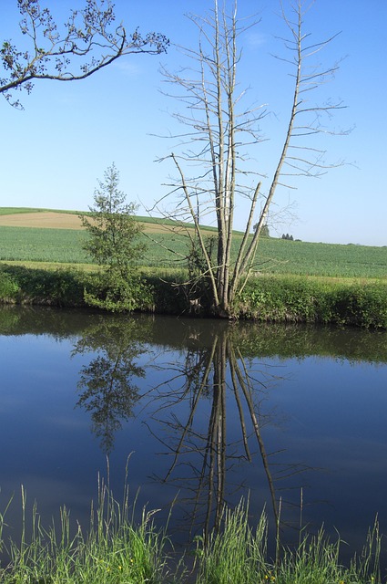 Free Mirror Image Reflection photo and picture