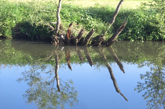 Free Water Reflection Flow photo and picture