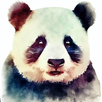 Free Panda Bamboo illustration and picture