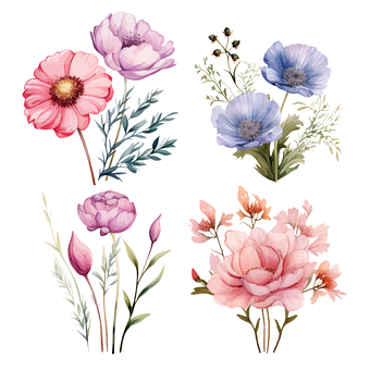 Free Flower Floral vector and picture