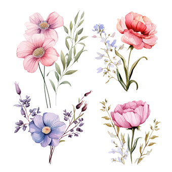 Free Flower Floral vector and picture