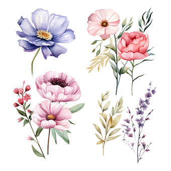 Free Flower Floral vector and picture