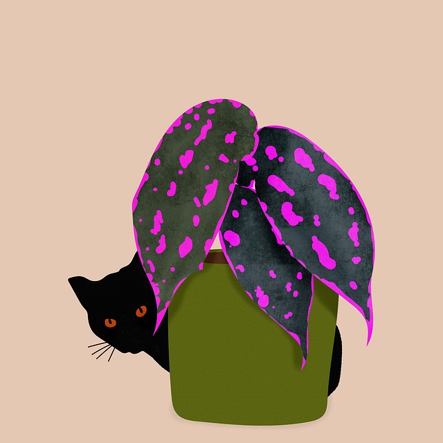 Free plant begonia houseplant illustration