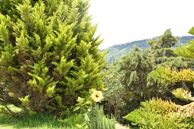 Free Field Landscape photo and picture