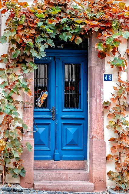Free Front Door House Entrance photo and picture
