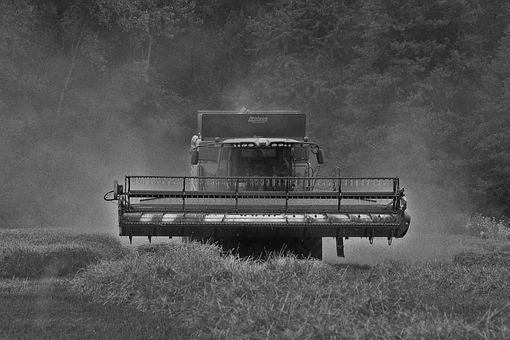 Free Agriculture Harvest photo and picture