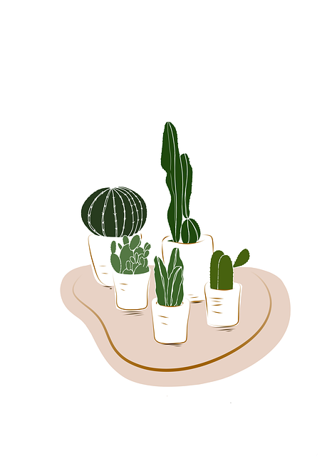 Cactus, Suculento, Plantas, Naturaleza