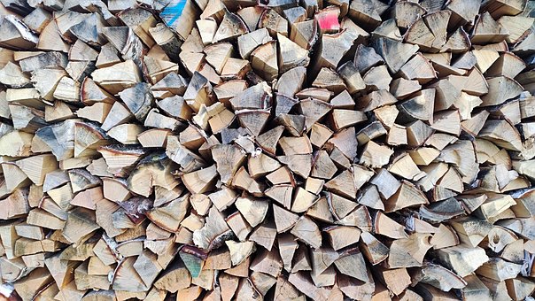 Free Wood Logs photo and picture