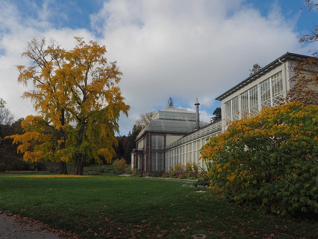 Free Hesse Kassel photo and picture