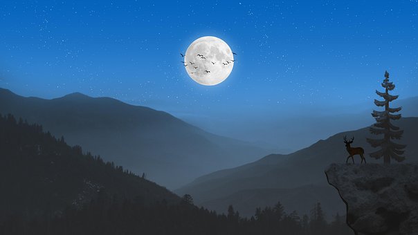 Free Deer Trees illustration and picture