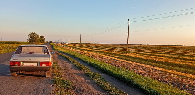 Natur, Landskab, Vej, Ukraine, Fred