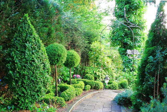 Free Book Boxwood photo and picture
