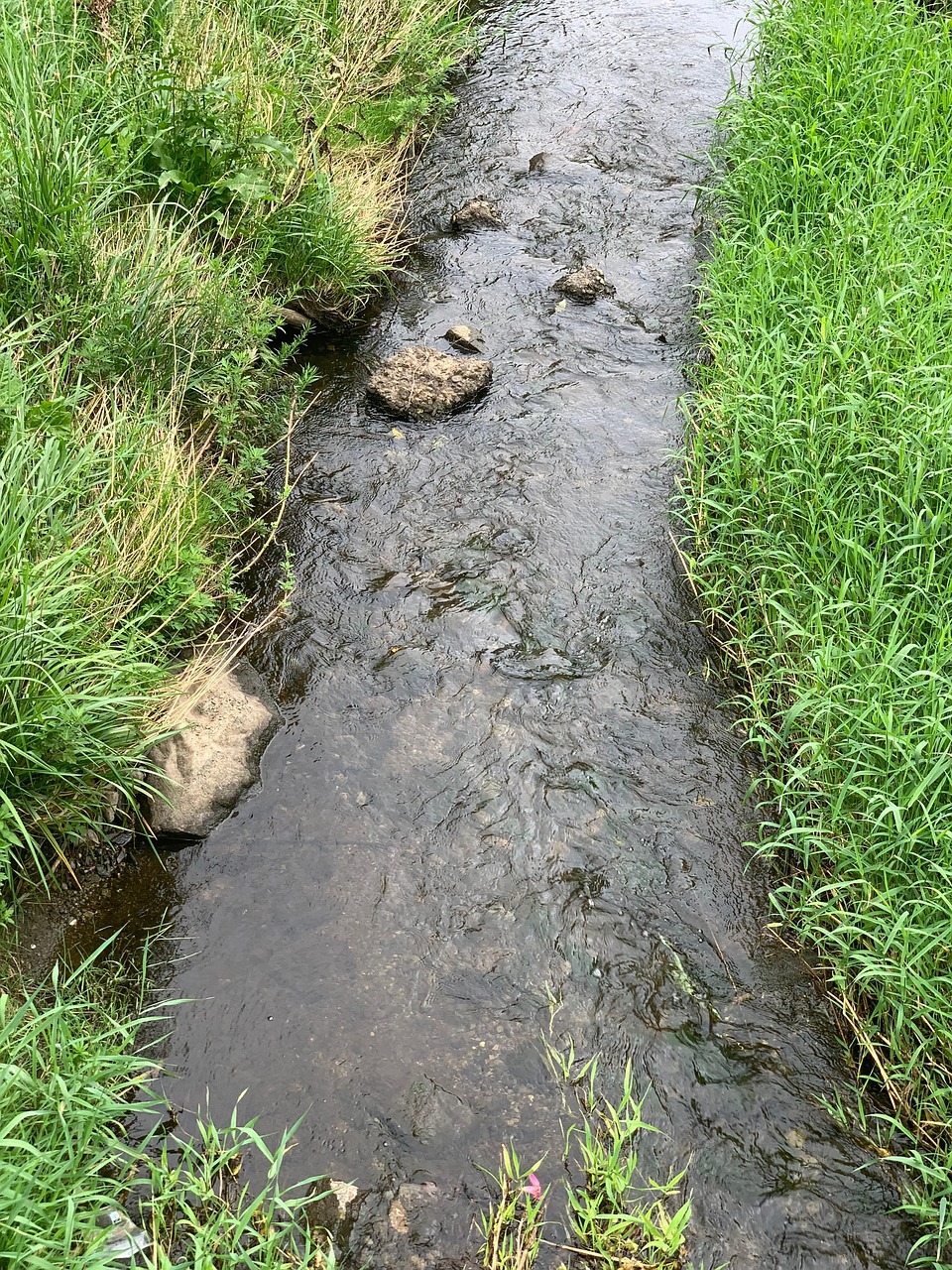 Download Water, Nature, Stream. Royalty-Free Stock Illustration Image ...