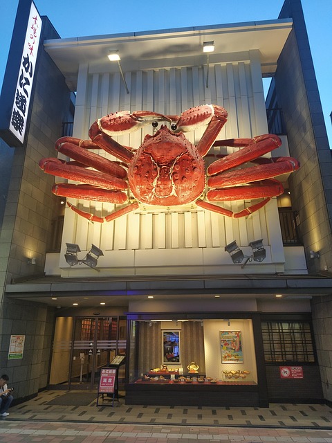 Osaka, Japonia, Crab, Mare, Ciudat