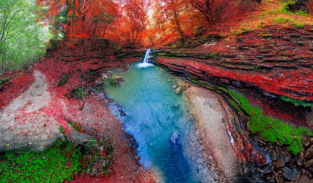 Bosque, Cascada, Río, Vibrante, Vistoso