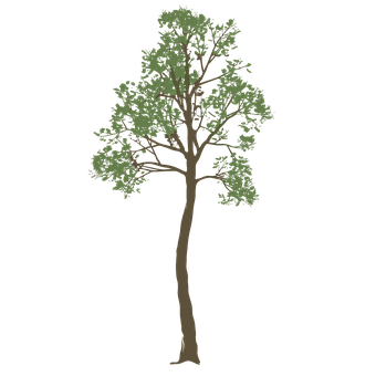 Free Real Tree illustration and picture