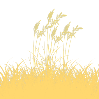 Free Grass Africa illustration and picture