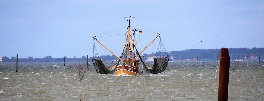 Nordsøen, Fisker, Krabbeskærer, Hav