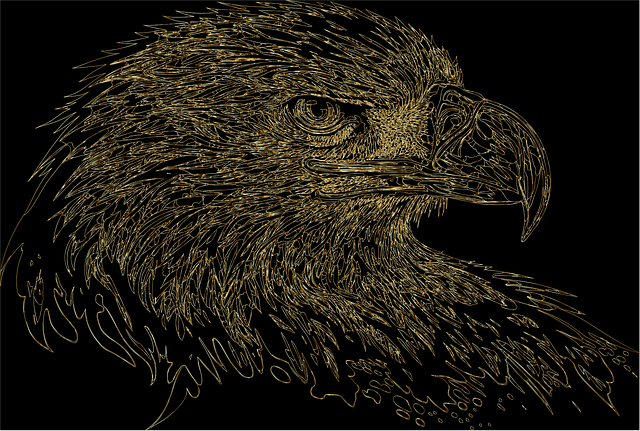 Free eagle bird animal illustration