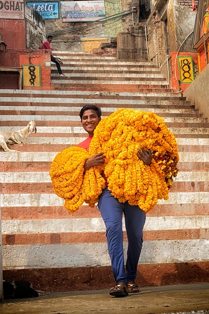 Mand, Blomster, Morgenfrue, Indien