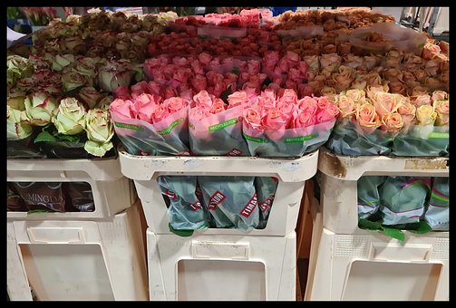 Roser, Blomster, Blomst Marked, Plante