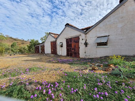 Landskab, Blomster, Bygning, Rusten