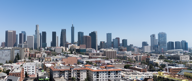 Free City The Angels photo and picture