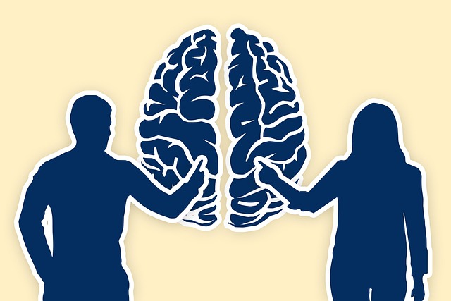 Free man woman brain illustration