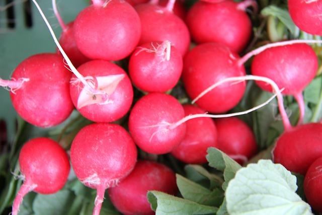 Free Vegetables To Eat Healthy Food photo and picture