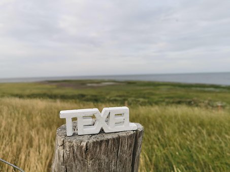 Free Texel North Sea photo and picture