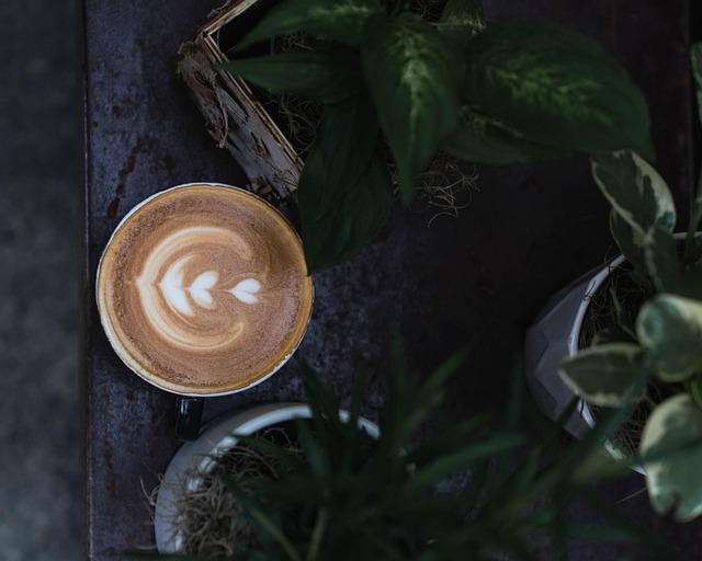 Espresso, Káva, Rostliny, Nálada, Latte