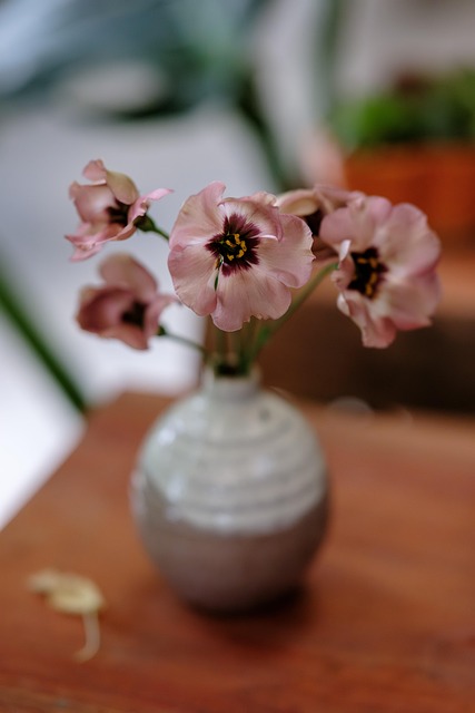 Blomst, Krukke Med Blomst, Pensee