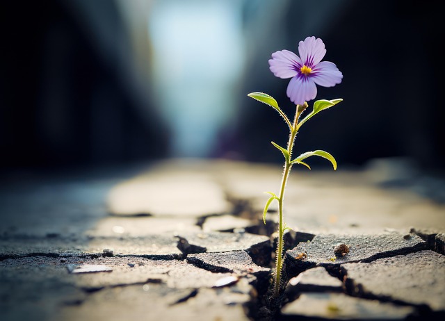 Download free HD stock image of Ai Generated Flower Free ai generated flower road illustration