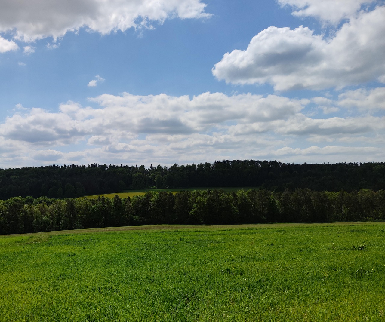 Prairie Foret Forêt Prairie La Nature - Photo gratuite sur Pixabay - Pixabay