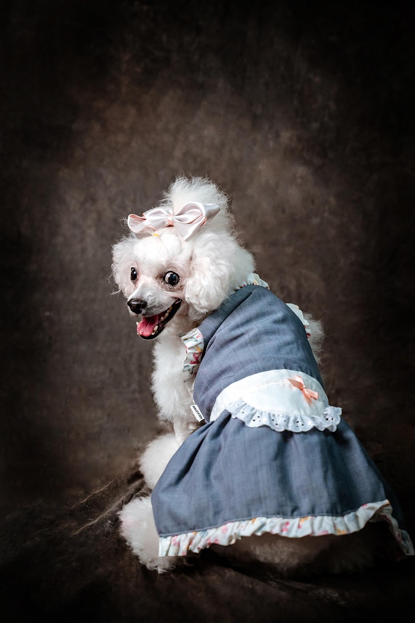 Image of Daisy