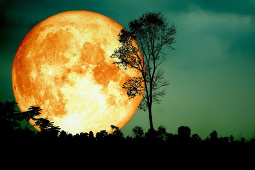 Astrologie, Astronomie, Astrofotografie