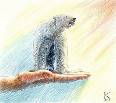 Eisbär, Zeichnung, Arktis, Tier