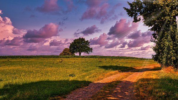 Free Summer Evening Landscape photo and picture