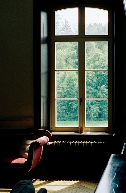 Free Window Sofa photo and picture
